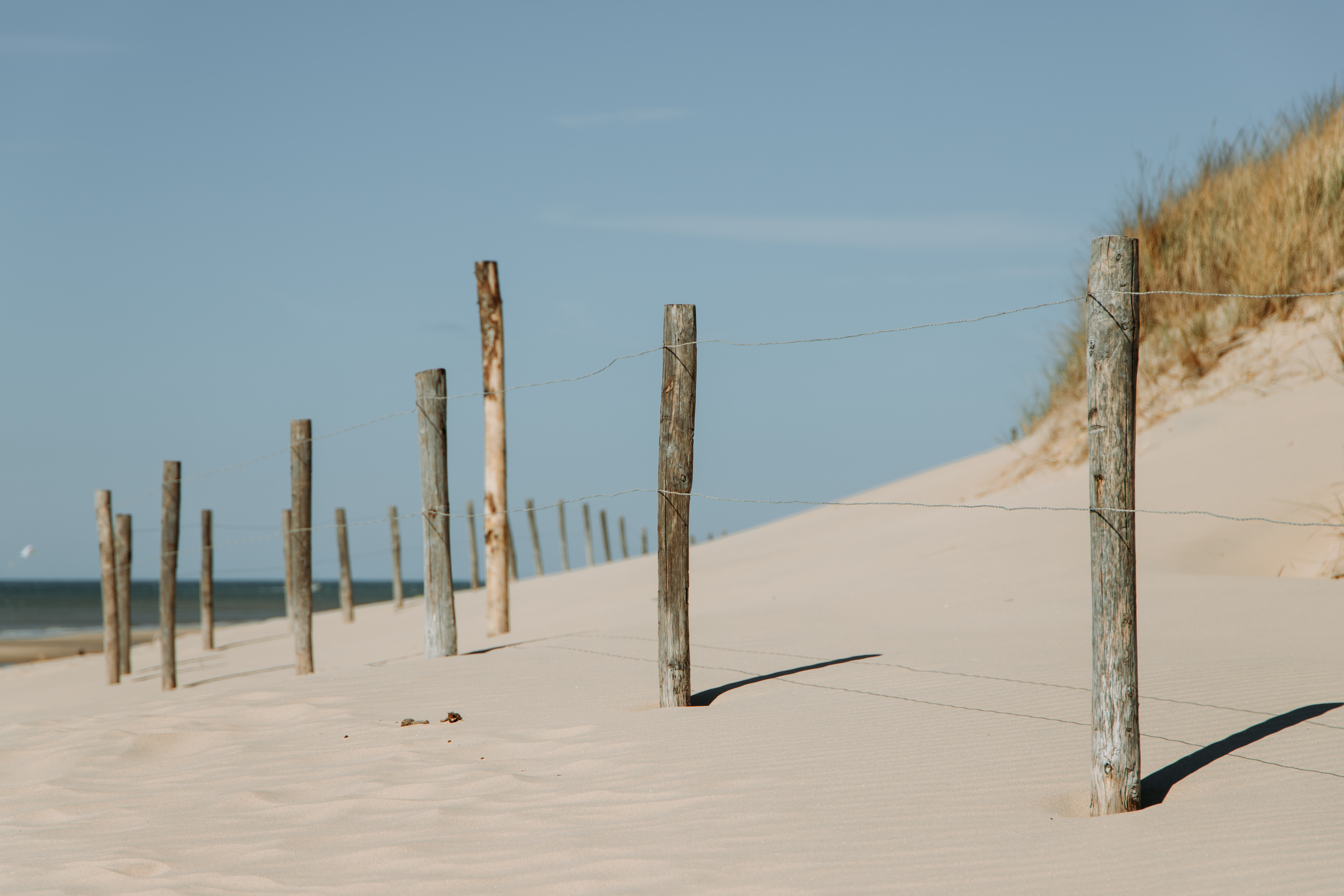 Paaltjes in het zand